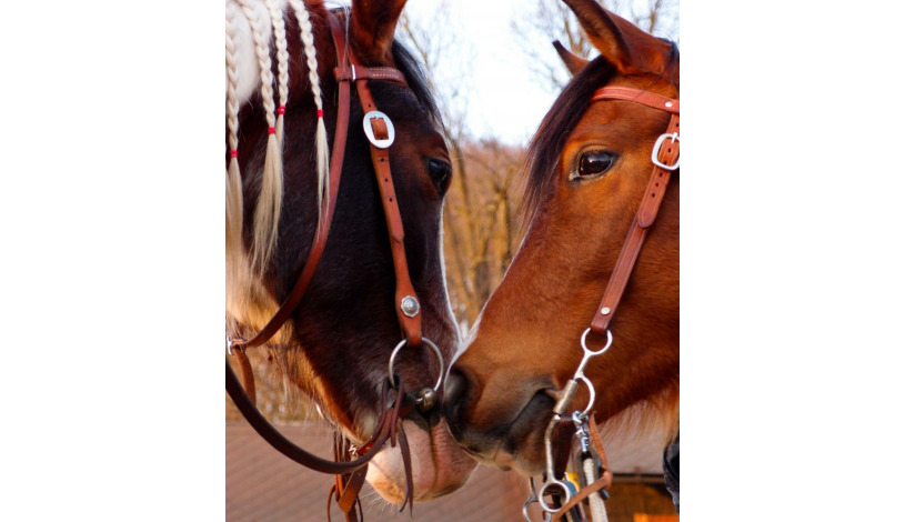 Penzion Hradisko Rožnov pod Radhoštěm